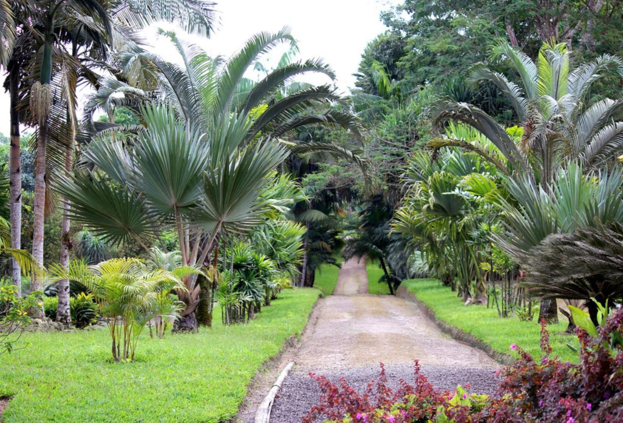 Bnb Tropical Island Aparthotel - Corales Del Sur - Santo Domingo Este Dış mekan fotoğraf